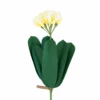 Clivia Stem -Home Furnishings Store Clivia