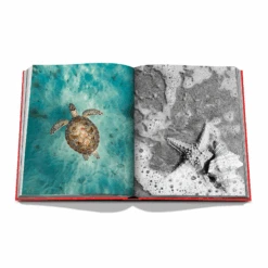 Assouline St. Barths Freedom -Home Furnishings Store St.Barths5