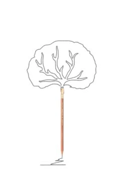 Blackwing Pencils - Extra Firm Natural 11 Blackwing Pencils - Extra Firm Natural -Home Furnishings Store blackwing natural notext