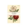 John Derian Everything Roses Notebooks -Home Furnishings Store roses