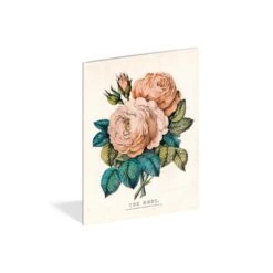 John Derian Everything Roses Notebooks -Home Furnishings Store roses3