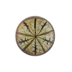 Urchin Fig. 2 Dome Paperweight